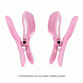 Štipaljke za grudi sa elektrostimulacijom Surprise box BI 300034-2